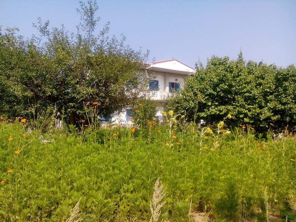 Guesthouse Karidia Skala Eresou Exterior photo